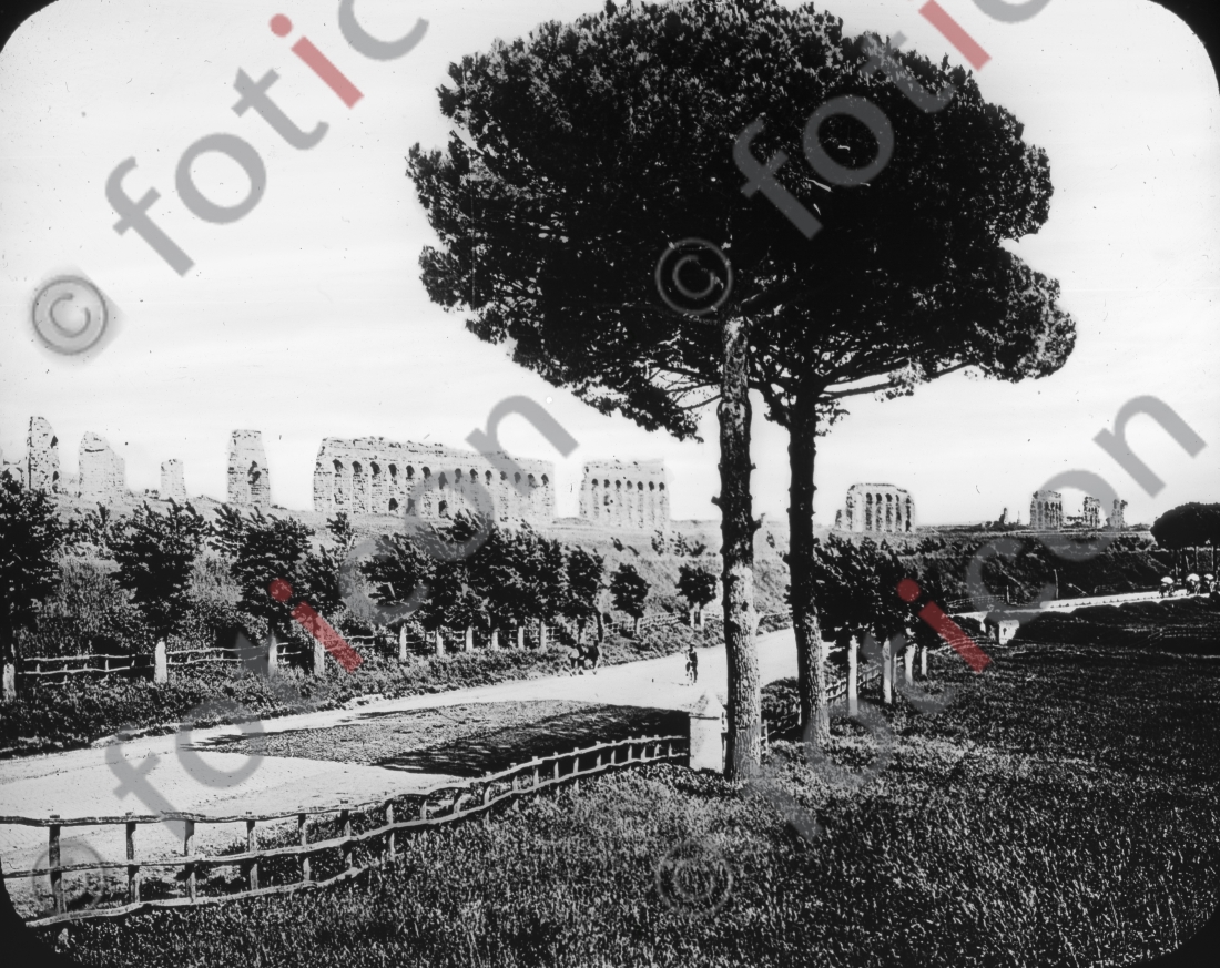 Via Appia | Via Appia - Foto foticon-simon-107-007-sw.jpg | foticon.de - Bilddatenbank für Motive aus Geschichte und Kultur